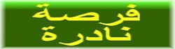 Domain.com